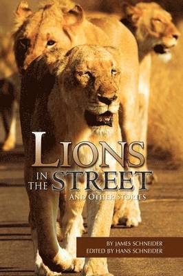 James Schneider - Lions in the Street, Inbunden