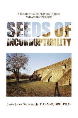 bokomslag Seeds of Incorruptibility