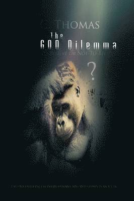 bokomslag God Dilemma