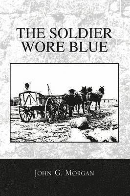 bokomslag Soldier Wore Blue