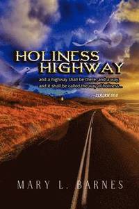 bokomslag Holiness Highway