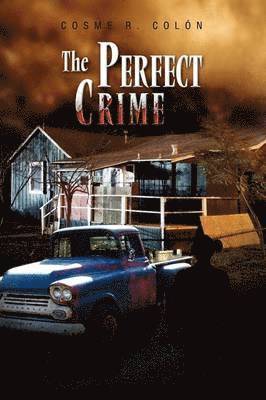 The Perfect Crime 1