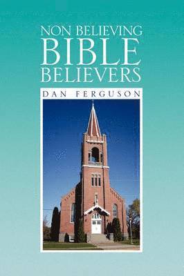 bokomslag Non Believing Bible Believers