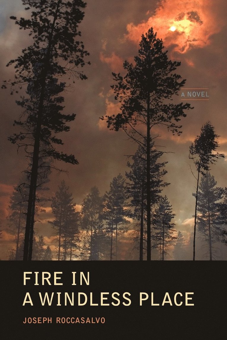 Fire in a Windless Place 1