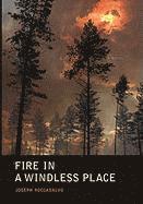 Joseph Roccasalvo - Fire in a Windless Place, Inbunden. Tillgänglighet: Lägg i varukorg