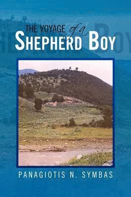 bokomslag Voyage of a Shepherd Boy