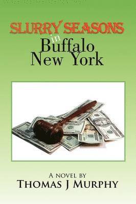 bokomslag Slurry Seasons in Buffalo New York