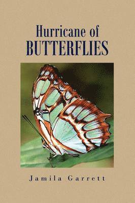 Hurricane of Butterflies 1