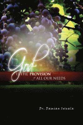 bokomslag God Is the Provision of All Our Needs