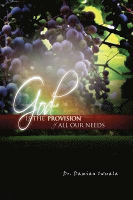 God is the Provision of All Our Needs