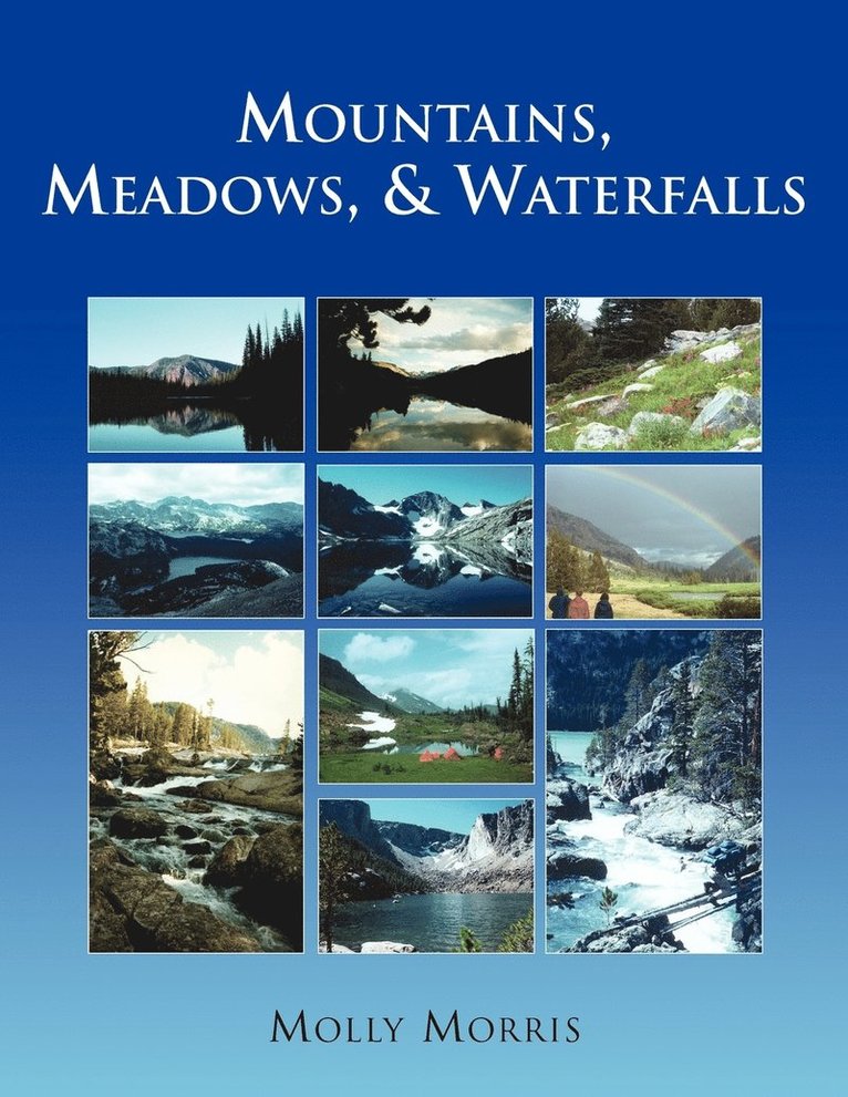 Mountains, Meadows, and Waterfalls 1