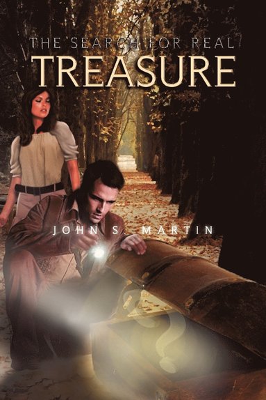 bokomslag The Search for Real Treasure