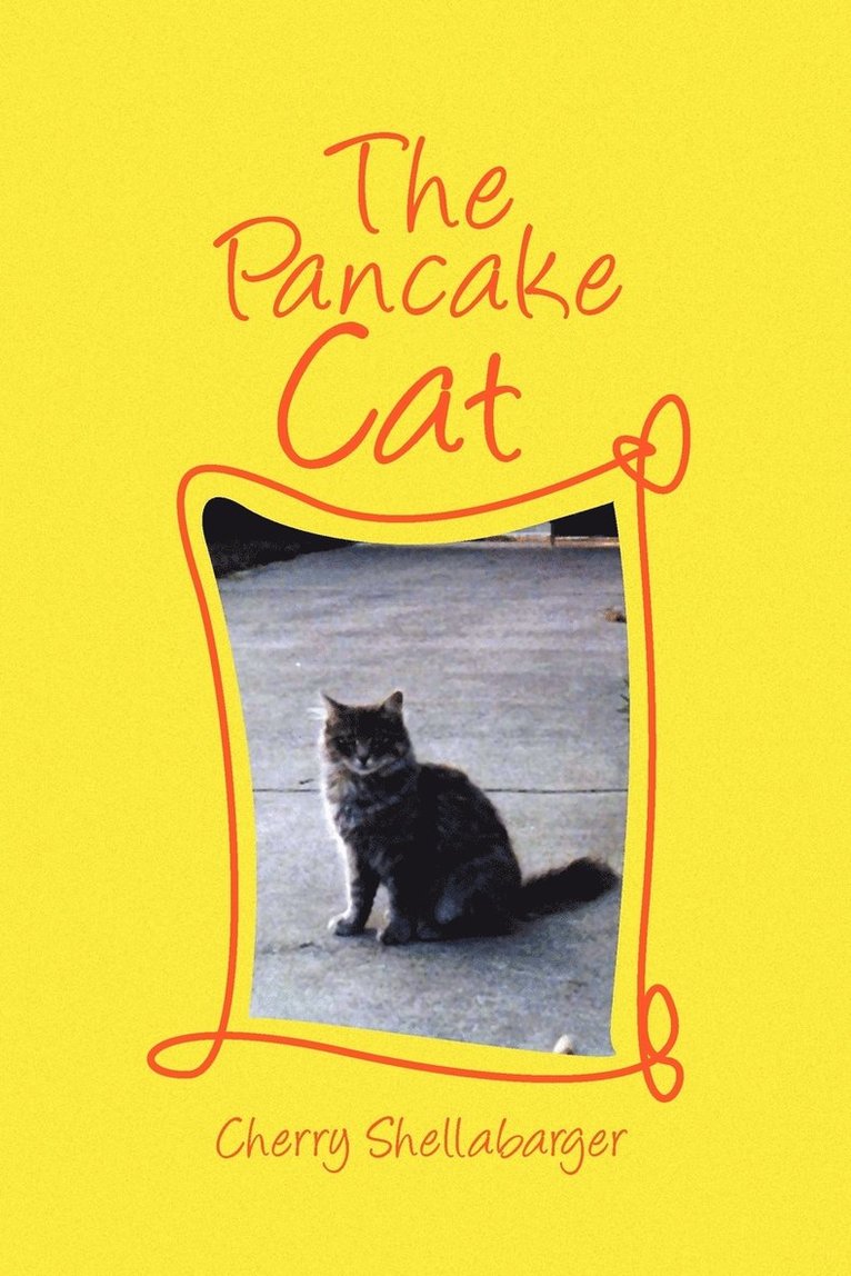 The Pancake Cat 1