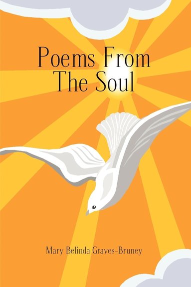 bokomslag Poems from the Soul