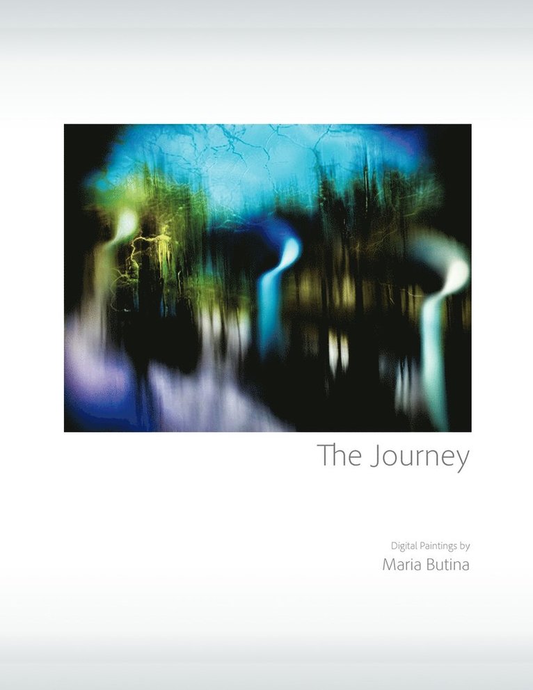 The Journey 1