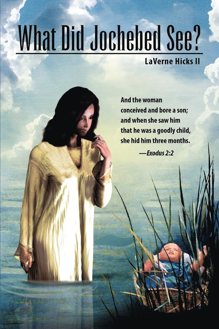 Laverne Hicks II, II Hicks, Laverne, Laverne II Hicks - What Did Jochebed See?, Häftad