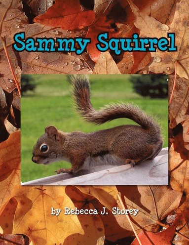 bokomslag Sammy Squirrel