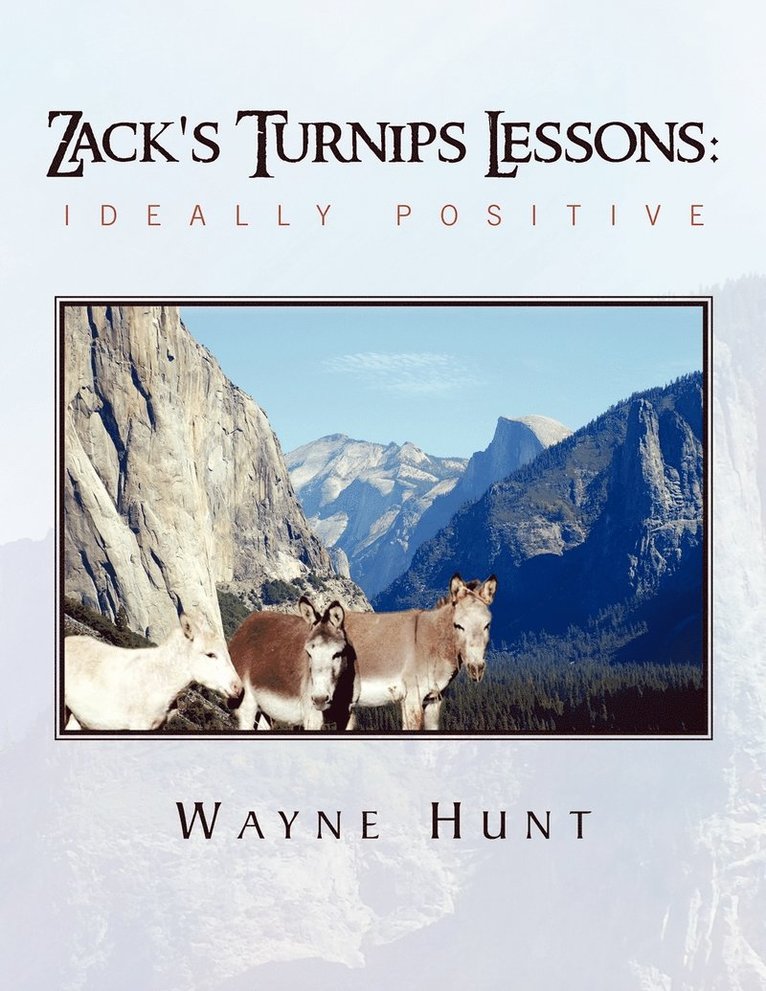 Zack's Turnips Lessons 1