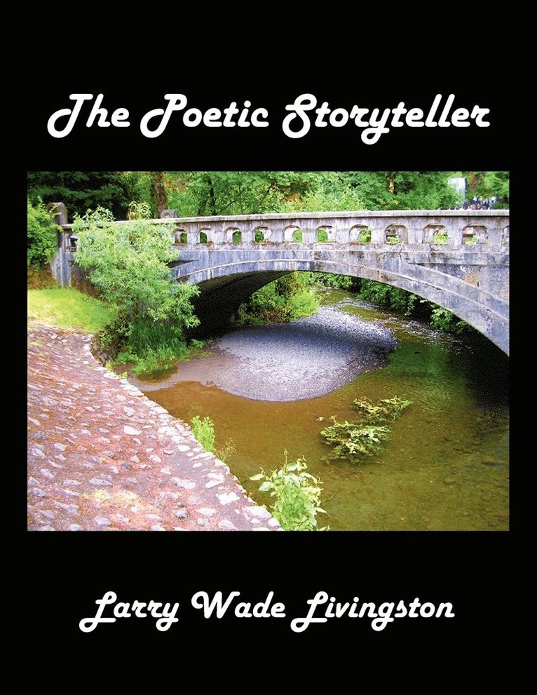 The Poetic Storyteller 1