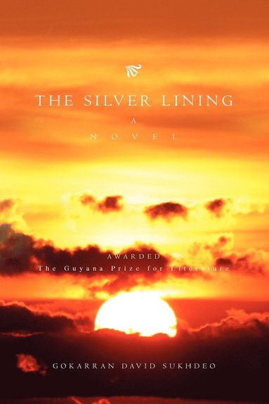 bokomslag Silver Lining