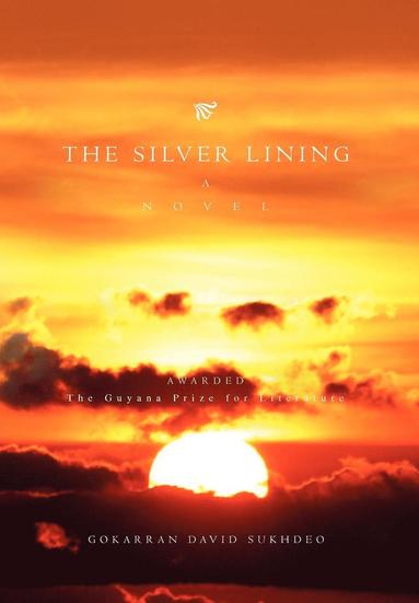 bokomslag Silver Lining