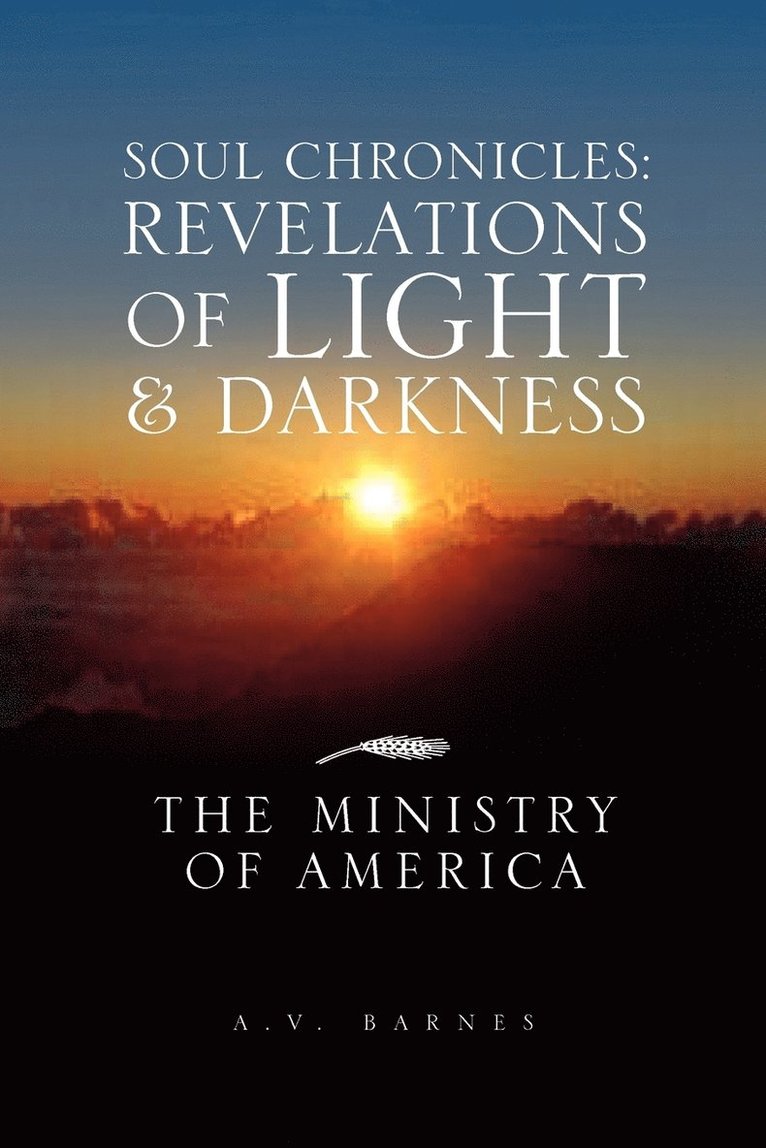 A V Barnes, A. V. Barnes - Soul Chronicles, Häftad