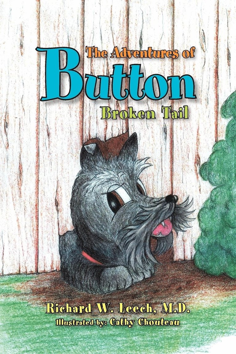 Richard W M D Leech, Richard W. M. D. Leech - Adventures of Button, Häftad