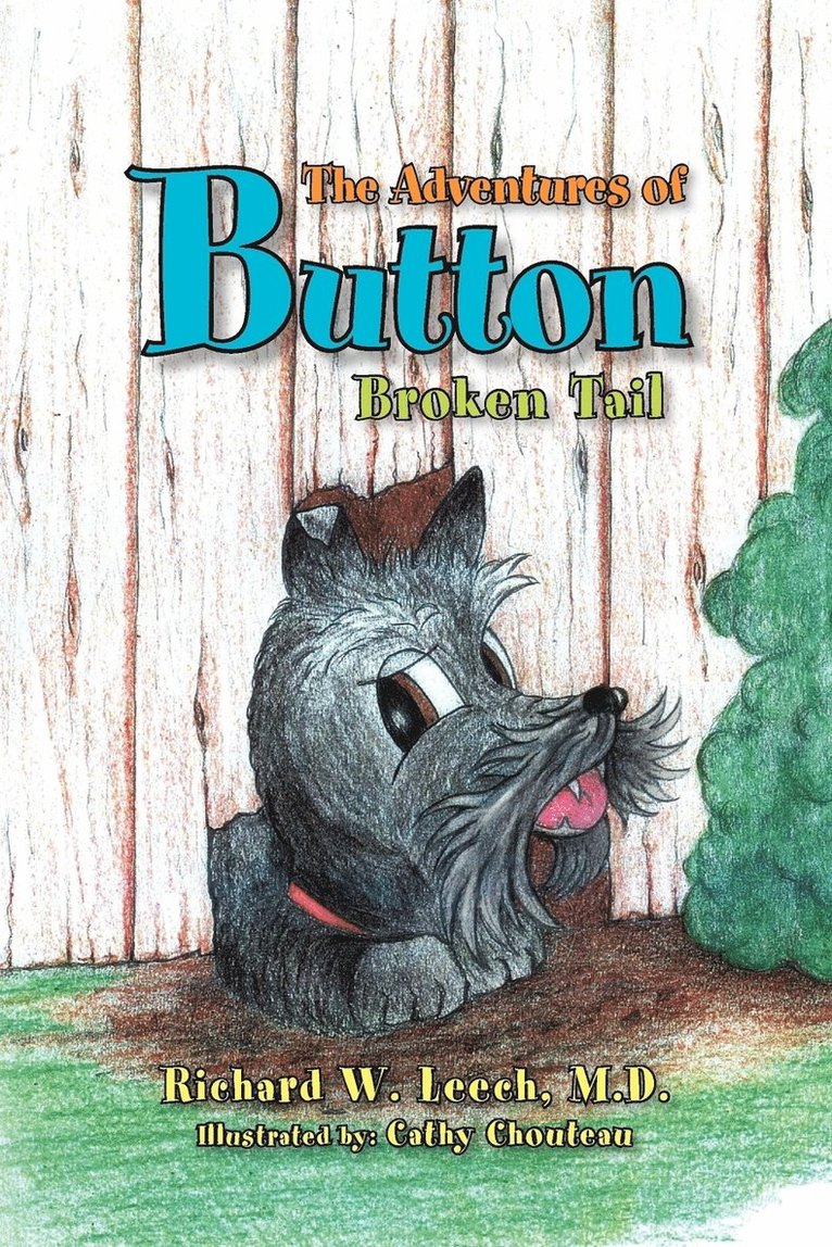 The Adventures of Button 1