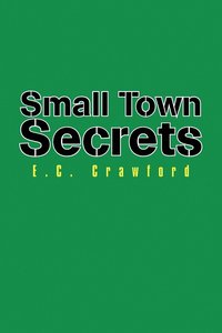 bokomslag Small Town Secrets