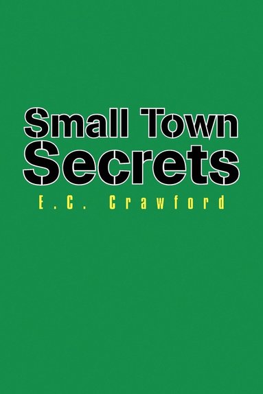 bokomslag Small Town Secrets