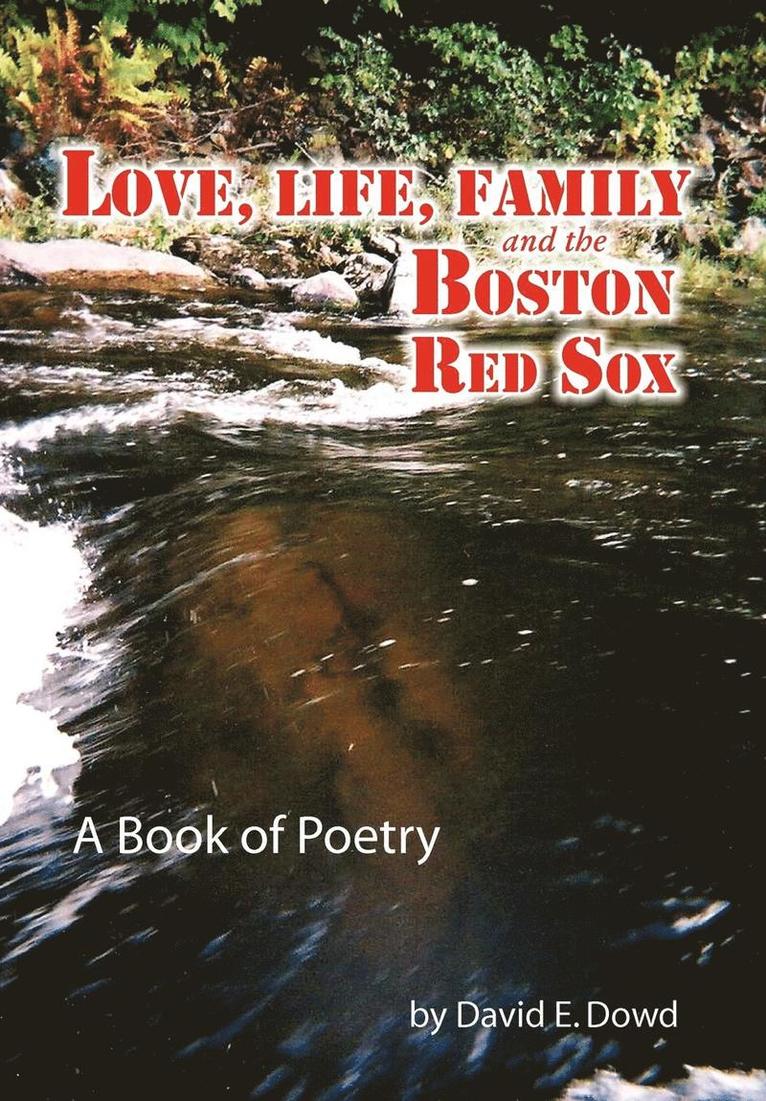 Love, Life, Family and the Boston Red Sox 1