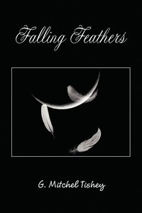 bokomslag Falling Feathers