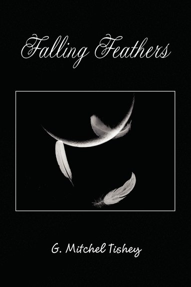 bokomslag Falling Feathers