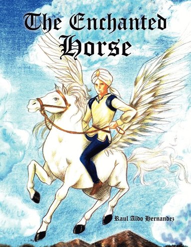 bokomslag Enchanted Horse