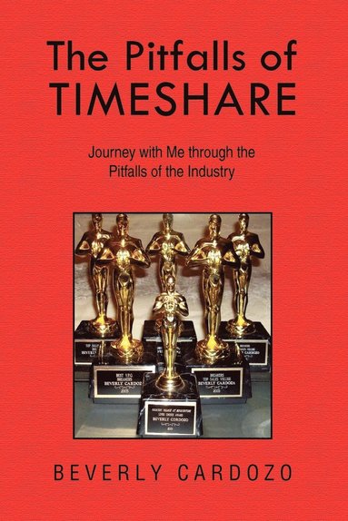 bokomslag Pitfalls of Timeshare