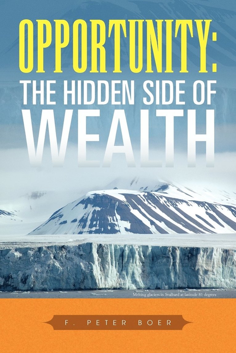 F Peter Boer, F. Peter Boer - Opportunity, Häftad