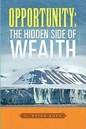 F Peter Boer, F. Peter Boer - Opportunity, Inbunden