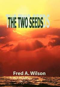 bokomslag The Two Seeds