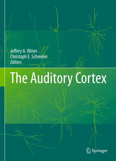 Jeffery A. Winer, Christoph E. Schreiner - Auditory Cortex, Inbunden
