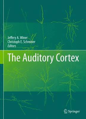 Jeffery A. Winer, Christoph E. Schreiner - Auditory Cortex, Inbunden