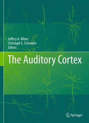 The Auditory Cortex 1