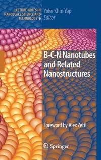 bokomslag B-C-N Nanotubes and Related Nanostructures