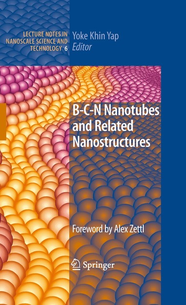 Yoke Khin Yap - B-C-N Nanotubes and Related Nanostructures, Inbunden