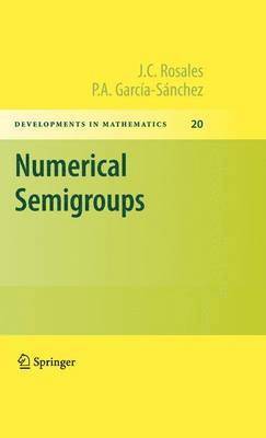Numerical Semigroups 1