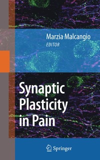 bokomslag Synaptic Plasticity in Pain