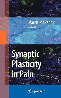 Synaptic Plasticity in Pain 1