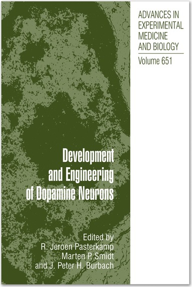 bokomslag Development and Engineering of Dopamine Neurons