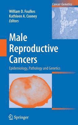 Male Reproductive Cancers 1