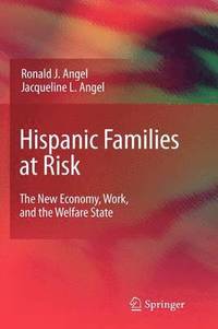 bokomslag Hispanic Families at Risk