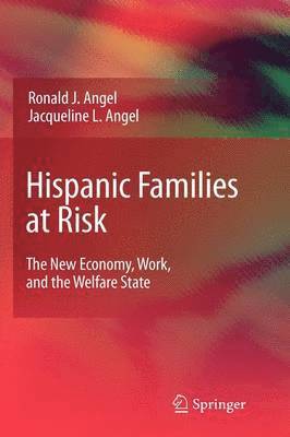 bokomslag Hispanic Families at Risk